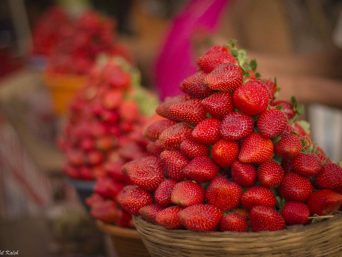 routemate mahabaleshwar strawberry