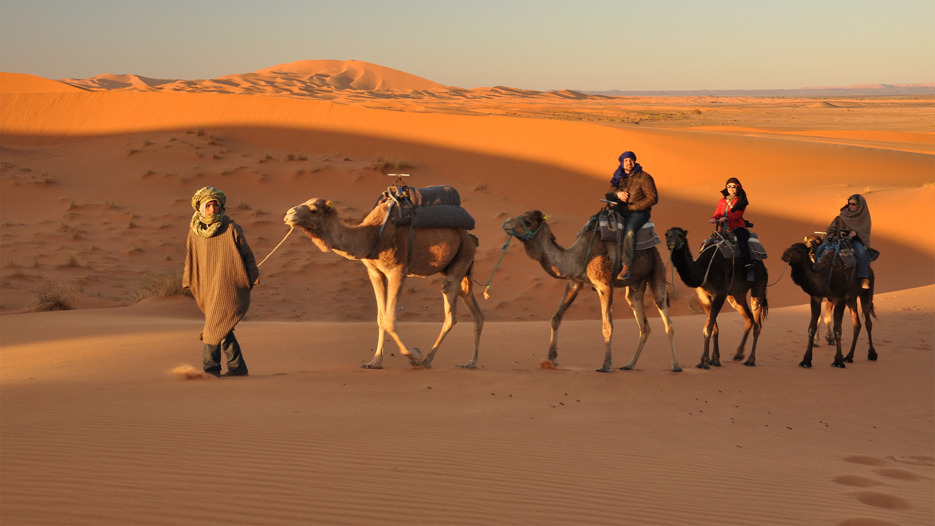 Жизнь и быт в пустыне. Бедуин с верблюдом в пустыне. Бедуины Аравийского полуострова. Пустыня Раджастхан. Бедуины Марокко.